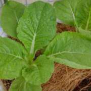 ヒメ日記 2025/10/05 06:59 投稿 ひまわり 熟女デリヘル倶楽部