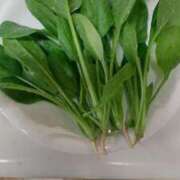 ヒメ日記 2025/10/20 07:20 投稿 ひまわり 熟女デリヘル倶楽部