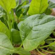 ヒメ日記 2025/10/24 07:33 投稿 ひまわり 熟女デリヘル倶楽部