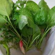 ヒメ日記 2025/10/29 15:45 投稿 ひまわり 熟女デリヘル倶楽部