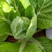 ヒメ日記 2025/11/01 08:01 投稿 ひまわり 熟女デリヘル倶楽部