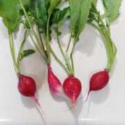 ヒメ日記 2025/11/02 16:11 投稿 ひまわり 熟女デリヘル倶楽部