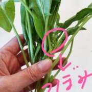 ヒメ日記 2025/11/03 09:35 投稿 ひまわり 熟女デリヘル倶楽部