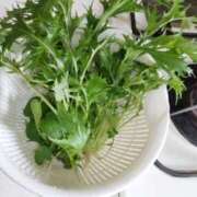 ヒメ日記 2025/11/05 10:43 投稿 ひまわり 熟女デリヘル倶楽部