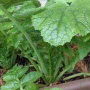 ヒメ日記 2025/11/10 06:59 投稿 ひまわり 熟女デリヘル倶楽部