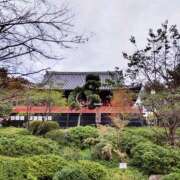 ヒメ日記 2025/11/11 16:39 投稿 ひまわり 熟女デリヘル倶楽部