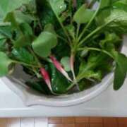 ヒメ日記 2025/11/12 16:55 投稿 ひまわり 熟女デリヘル倶楽部