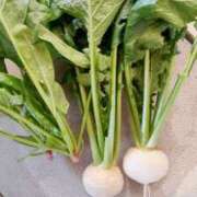 ヒメ日記 2025/11/14 09:36 投稿 ひまわり 熟女デリヘル倶楽部