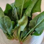 ヒメ日記 2025/11/17 10:00 投稿 ひまわり 熟女デリヘル倶楽部