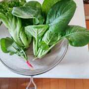 ヒメ日記 2025/11/20 09:42 投稿 ひまわり 熟女デリヘル倶楽部