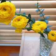 ヒメ日記 2025/11/22 15:31 投稿 ひまわり 熟女デリヘル倶楽部