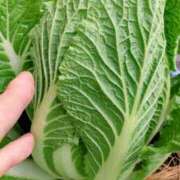 ヒメ日記 2025/11/23 08:36 投稿 ひまわり 熟女デリヘル倶楽部