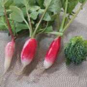 ヒメ日記 2025/11/26 07:55 投稿 ひまわり 熟女デリヘル倶楽部