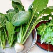 ヒメ日記 2025/11/26 08:44 投稿 ひまわり 熟女デリヘル倶楽部