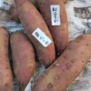 ヒメ日記 2025/11/28 12:16 投稿 ひまわり 熟女デリヘル倶楽部