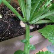 ヒメ日記 2025/12/02 13:49 投稿 ひまわり 熟女デリヘル倶楽部