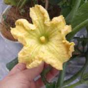 ヒメ日記 2025/12/03 07:39 投稿 ひまわり 熟女デリヘル倶楽部