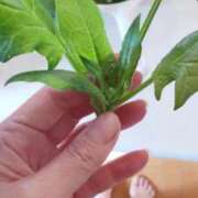 ヒメ日記 2025/12/05 10:04 投稿 ひまわり 熟女デリヘル倶楽部