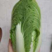 ヒメ日記 2025/12/08 07:38 投稿 ひまわり 熟女デリヘル倶楽部