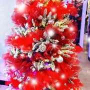 ヒメ日記 2025/12/08 21:01 投稿 ひまわり 熟女デリヘル倶楽部