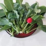 ヒメ日記 2025/12/09 10:10 投稿 ひまわり 熟女デリヘル倶楽部