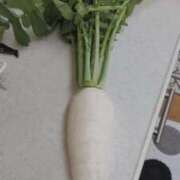 ヒメ日記 2025/12/10 08:46 投稿 ひまわり 熟女デリヘル倶楽部