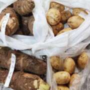 ひまわり 畑の恵み 熟女デリヘル倶楽部