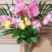 ヒメ日記 2025/12/14 20:07 投稿 ひまわり 熟女デリヘル倶楽部