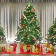 ヒメ日記 2025/12/16 16:44 投稿 ひまわり 熟女デリヘル倶楽部