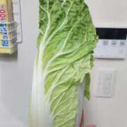 ヒメ日記 2025/12/17 16:32 投稿 ひまわり 熟女デリヘル倶楽部