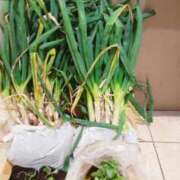 ヒメ日記 2025/12/19 21:09 投稿 ひまわり 熟女デリヘル倶楽部