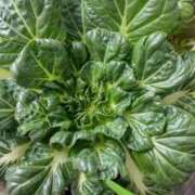 ヒメ日記 2025/12/21 11:56 投稿 ひまわり 熟女デリヘル倶楽部