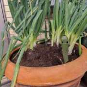 ヒメ日記 2025/12/22 11:12 投稿 ひまわり 熟女デリヘル倶楽部