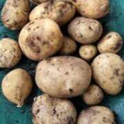 ヒメ日記 2025/12/22 12:43 投稿 ひまわり 熟女デリヘル倶楽部