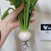 ヒメ日記 2025/12/23 19:51 投稿 ひまわり 熟女デリヘル倶楽部