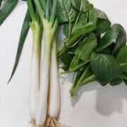 ヒメ日記 2025/12/24 07:50 投稿 ひまわり 熟女デリヘル倶楽部