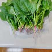 ヒメ日記 2025/12/25 12:52 投稿 ひまわり 熟女デリヘル倶楽部