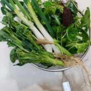 ヒメ日記 2025/12/26 17:02 投稿 ひまわり 熟女デリヘル倶楽部