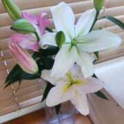 ヒメ日記 2026/01/02 12:13 投稿 ひまわり 熟女デリヘル倶楽部