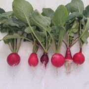 ヒメ日記 2026/01/03 11:55 投稿 ひまわり 熟女デリヘル倶楽部