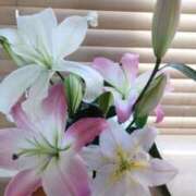 ヒメ日記 2026/01/04 14:20 投稿 ひまわり 熟女デリヘル倶楽部