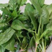 ヒメ日記 2026/01/05 10:52 投稿 ひまわり 熟女デリヘル倶楽部