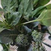 ヒメ日記 2026/01/07 10:58 投稿 ひまわり 熟女デリヘル倶楽部