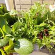 ヒメ日記 2026/01/27 11:07 投稿 ひまわり 熟女デリヘル倶楽部