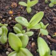 ヒメ日記 2026/02/02 09:53 投稿 ひまわり 熟女デリヘル倶楽部