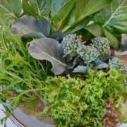 ヒメ日記 2026/02/04 09:08 投稿 ひまわり 熟女デリヘル倶楽部