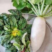 ヒメ日記 2026/02/05 09:33 投稿 ひまわり 熟女デリヘル倶楽部