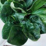 ヒメ日記 2026/02/07 12:01 投稿 ひまわり 熟女デリヘル倶楽部