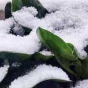 ヒメ日記 2026/02/08 07:19 投稿 ひまわり 熟女デリヘル倶楽部