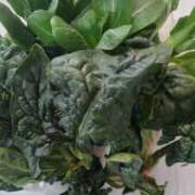 ヒメ日記 2026/02/11 13:19 投稿 ひまわり 熟女デリヘル倶楽部